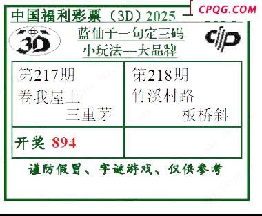 2025218期蓝仙子一句定三码