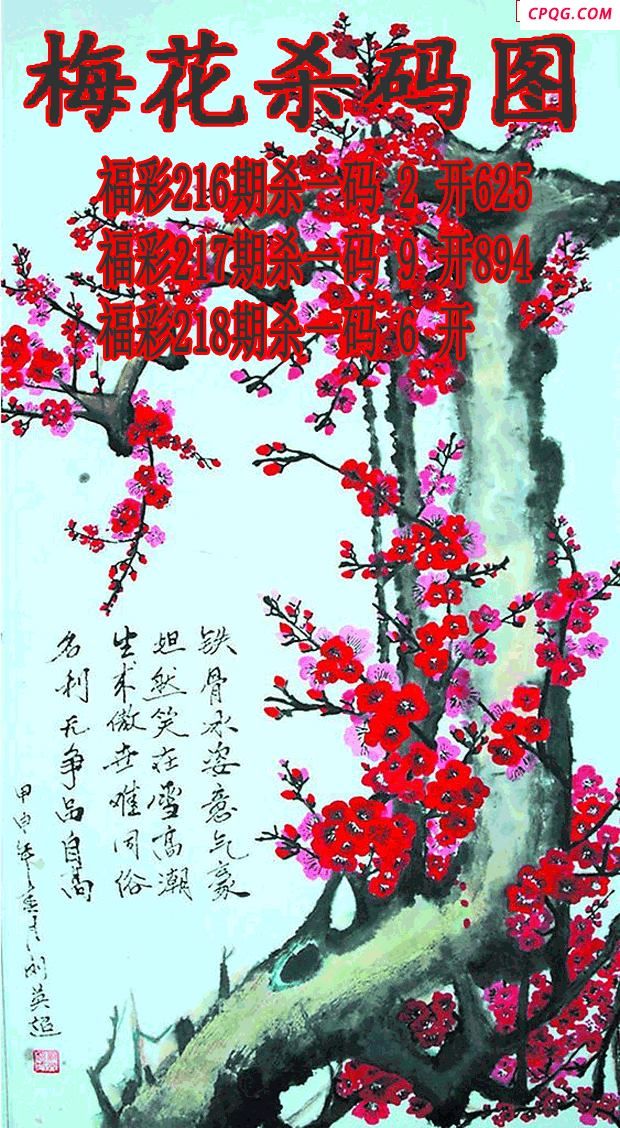 梅花杀码2025218期3d图谜（原创）