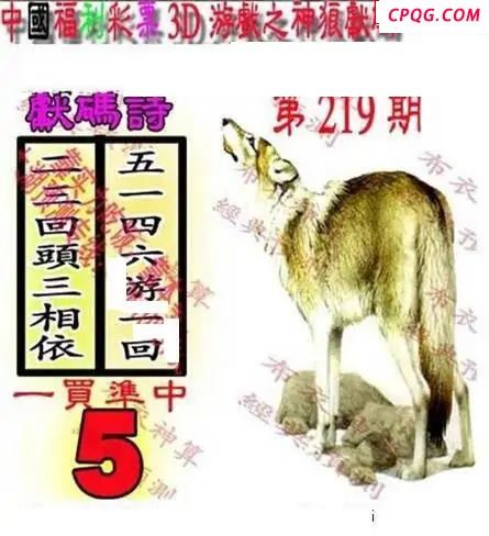 新禧布衣神算2025219期3d图谜