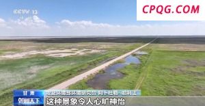 我国治沙有多牛？西北大漠变身“菜篮子”