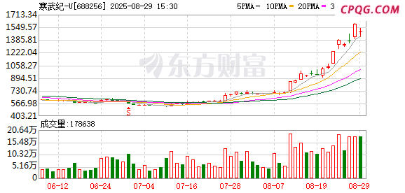 千元股寒武纪背后谁是推手？基金经理眼中的AI未来