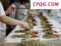 顶尖专家共探中西医整合发展之道
