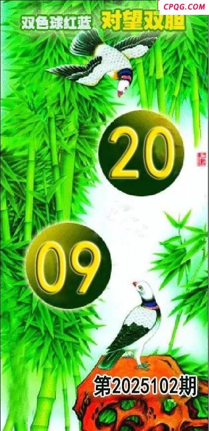 对望双胆25年102期双色球图谜红蓝