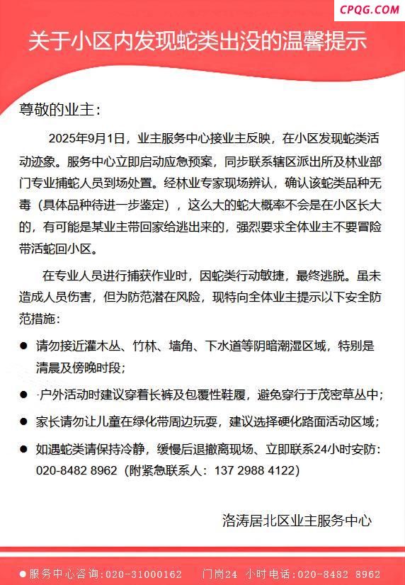 广州番禺一小区现两米多长的大蛇