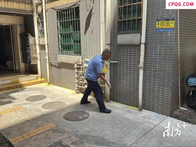 广州番禺一小区现两米多长的大蛇 专业捕蛇人也未能擒获
