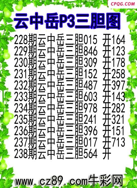 25年238期云中岳P3三胆图