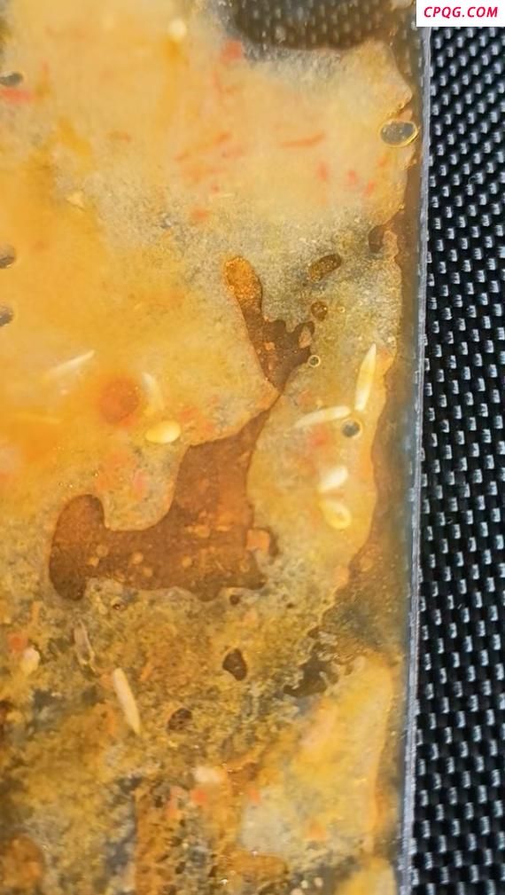 消费者称锅圈食汇火锅底料中有蛆虫 赔偿争议引发关注
