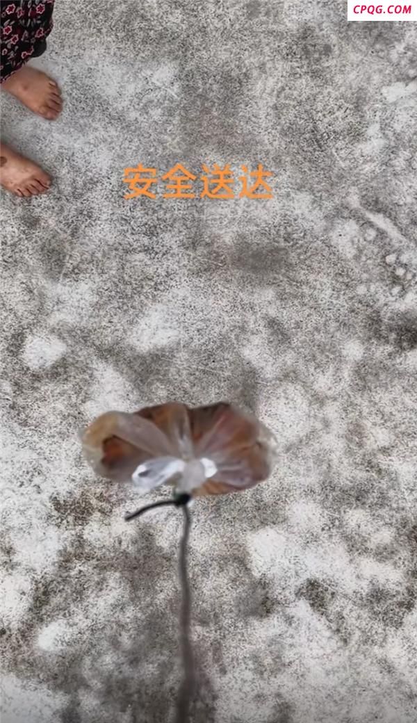 男子用无人机给95岁外婆送坨子肉 温馨画面打动人心