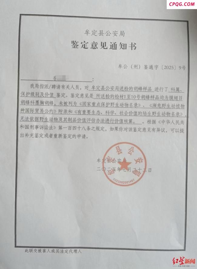 两儿童遭蜂群蜇伤身亡 养蜂人被立案 悲剧击碎两个家庭希望