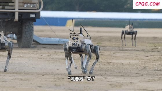 机器狗 机器狼 无人作战新力量