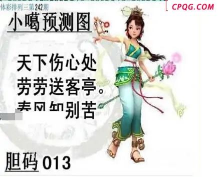体彩P32025年242期 小嘎预测图