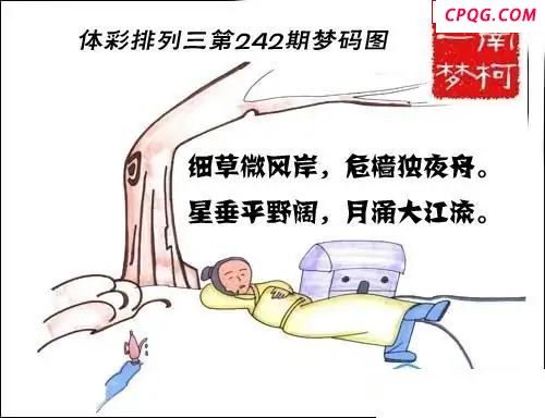 体彩P32025年242期 梦码图