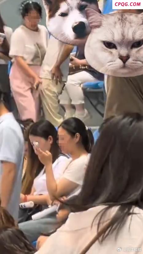 一男子在演唱会上故意猥亵多名女性