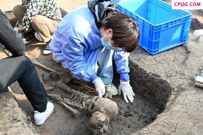河南贾湖遗址发现8000多年前木棺 刷新木质葬具历史