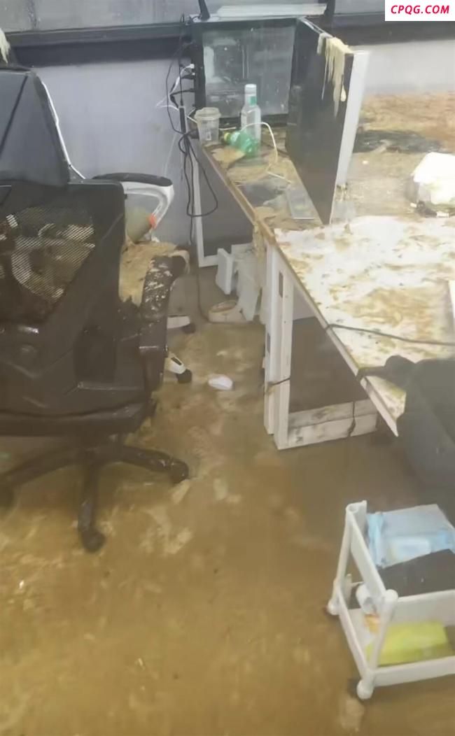 管道破损粪水洒满教室学生崩溃大哭