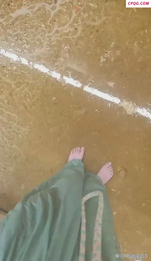 中国美院回应学生遭粪水淋头 设施故障引热议