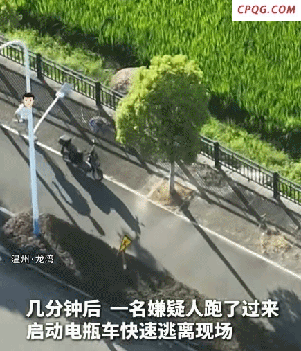 浙江反诈抓捕现场堪比大片