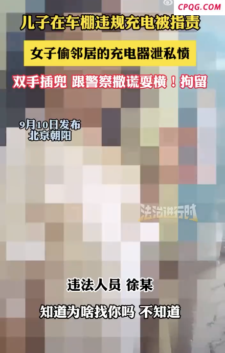儿子违规充电被指责女子偷充电器泄愤撒谎耍横，最终被拘留