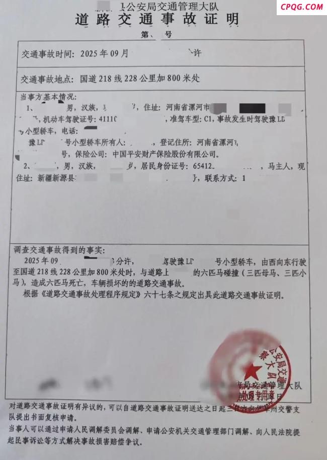 游客自驾撞到马群致6匹马死亡 责任划分待定引发关注