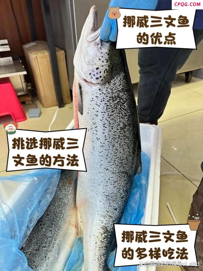 原来国产三文鱼不蘸酱才最鲜 餐桌新宠引发热议