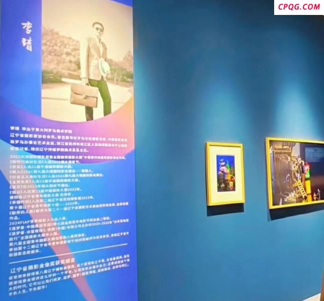 李靖抄袭 荣誉被收回