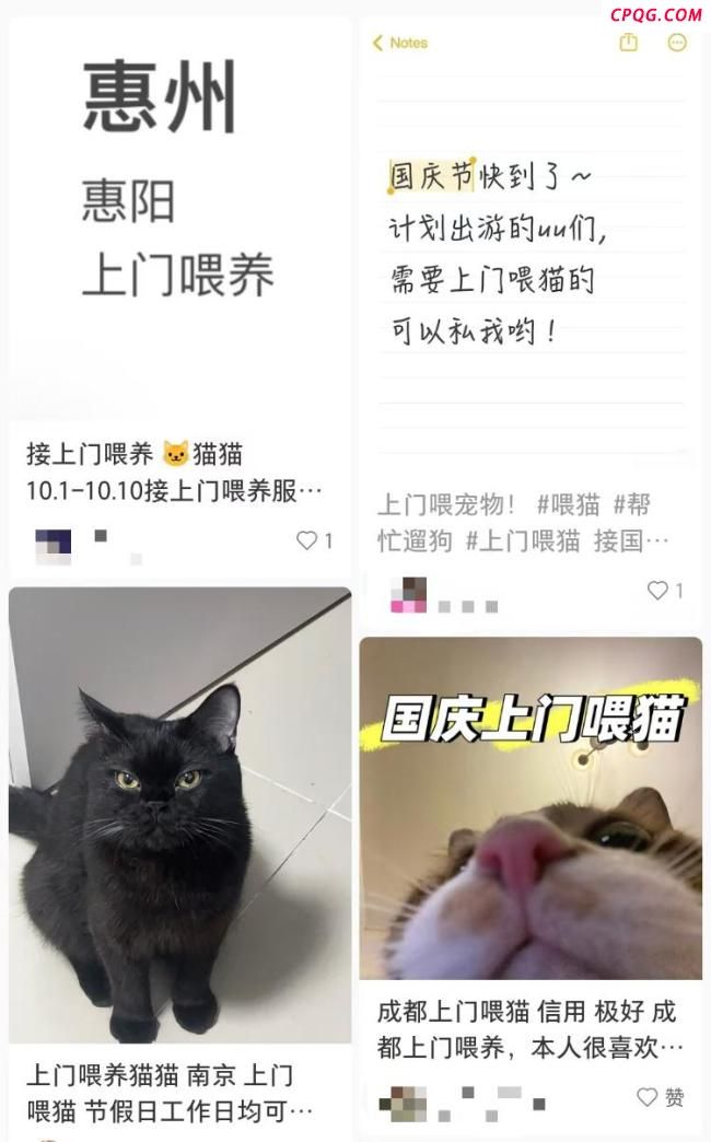 国庆期间宠物托养代喂生意火爆