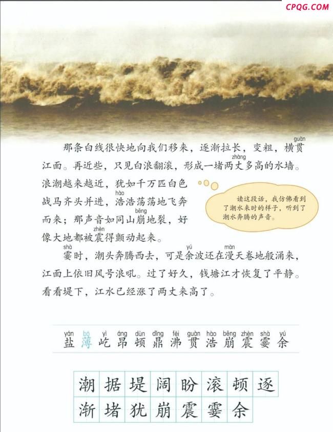 近距离感受“一线潮” 敬畏自然的震撼