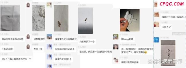 今年隐翅虫为何有点多 北方气候变暖所致