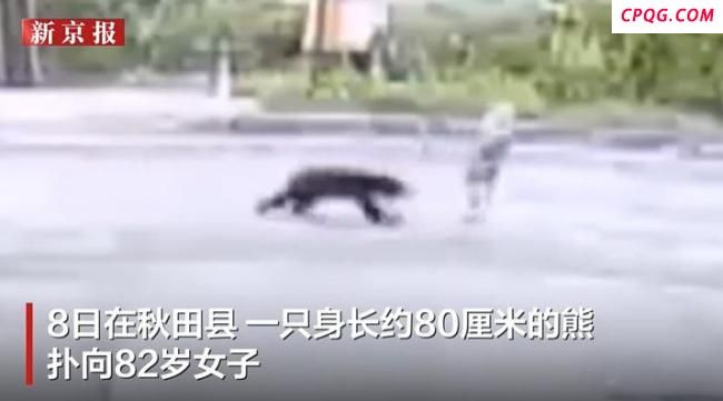 日本多地有熊进居民区袭击人
