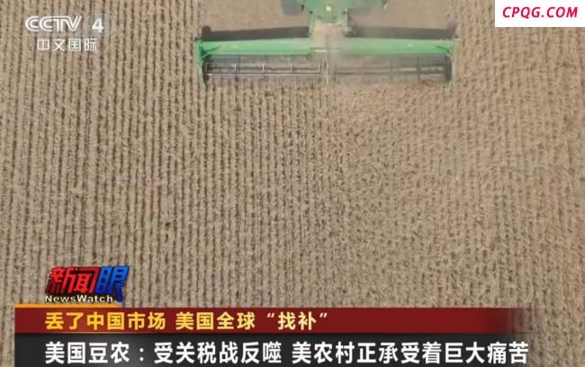 中国近半年没买过美一粒大豆说明啥