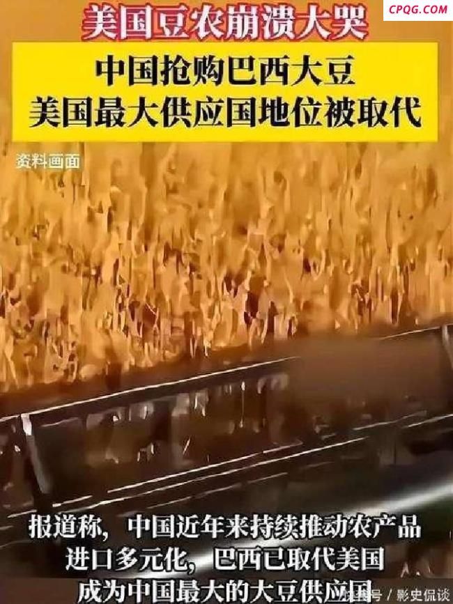 中国停购美国大豆有何影响