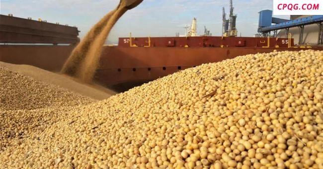 中国停购美国大豆有何影响 美豆农遭受重创