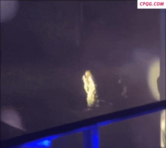张靓颖摔下舞台 生日演唱会惊险一幕