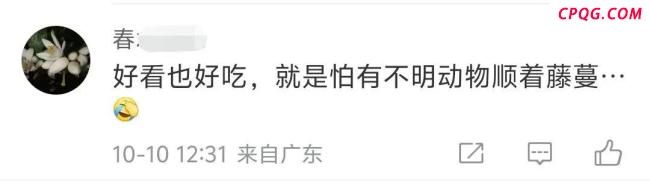 浙江一居民楼出现空心菜“瀑布” 绿色奇观引网友热议