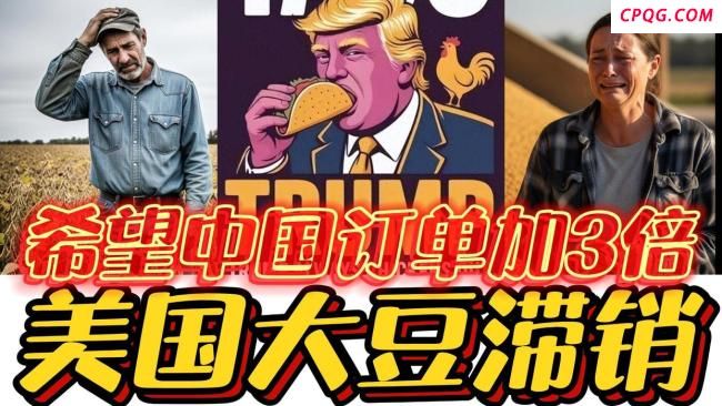 为何农业会成为中美交锋核心领域 美国豆农的困境