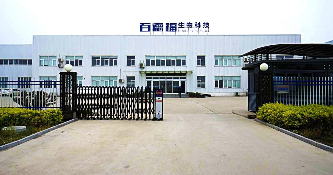 解码百德福海参短肽：科技赋能健康奥秘