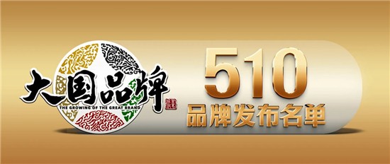 《大国品牌》510品牌发布名单引领中国品牌新高度 十大智慧城