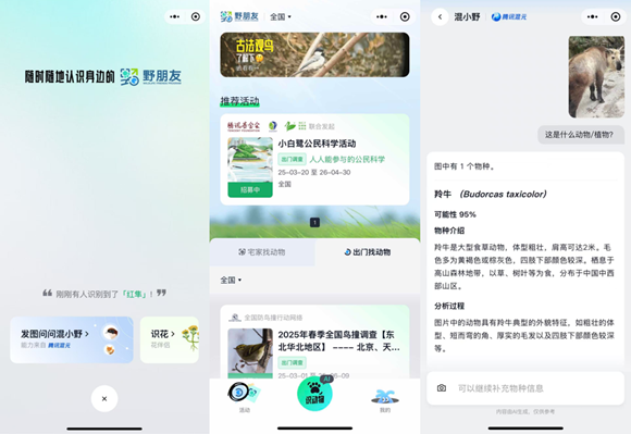 腾讯“野朋友计划”联合腾讯混元上线物种识别AI 用技术守护生