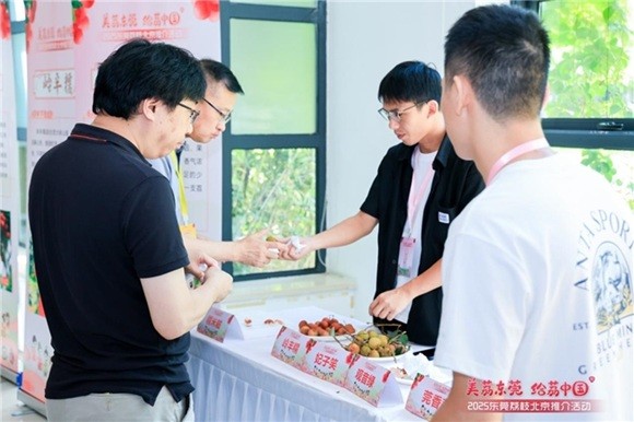 东莞给“荔”！顺丰携手央视网开展“超级地标好物”助农行动