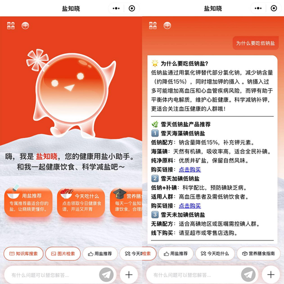 用盐有盲区？问问盐知晓｜雪天盐业打造首个盐科普AI智能体