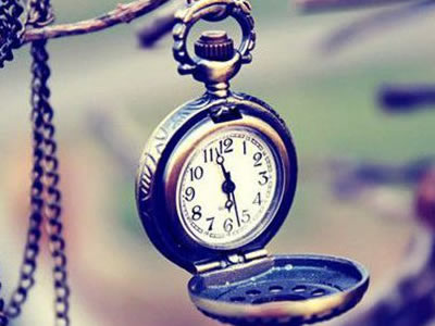 数学领域核心概念与资源推荐