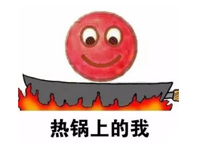 什么是政治正确的解释