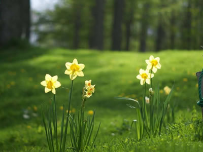 玩政治的人为什么厉害？